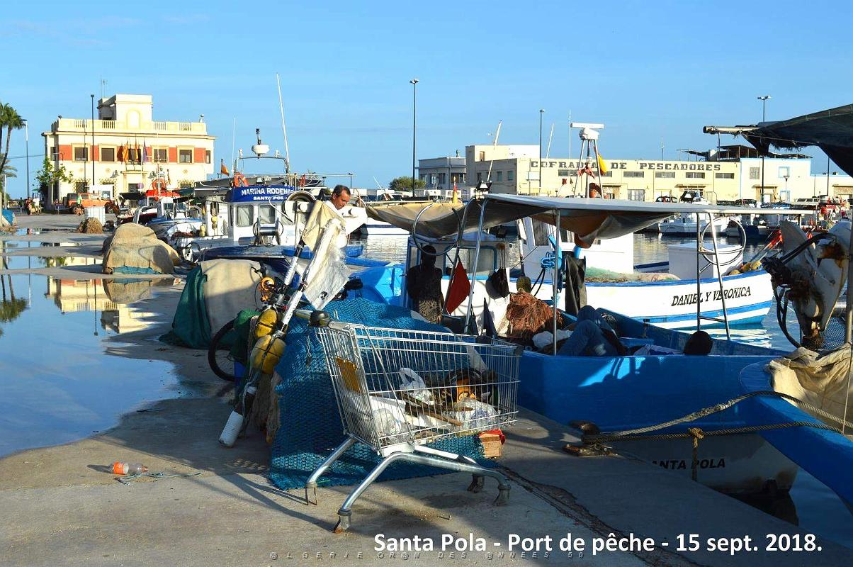 11 SANTA POLA PORT DE PECHE (5).JPG